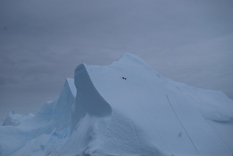 00-Greenland-2008-07-photo18