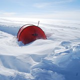 01-Antarctica-2008-photo35