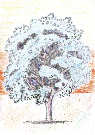 Grafika 2