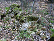 Ruiny kapliczki. Zdjcie pochodzi ze strony www.pagaz.com.pl