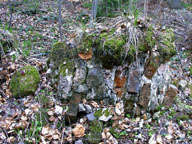 Ruiny kapliczki. Zdjcie pochodzi ze strony www.pagaz.com.pl